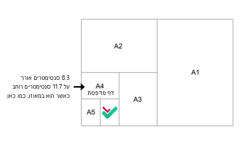 הסבר על גודל פלייר בתמונה